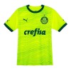 Original Fußballtrikot Palmeiras Ausweichtrikot 2023-24 Für Herren